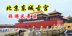 熟妇黑棍中国北京-东城古宫旅游风景区